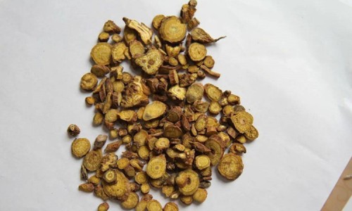 茅姜图片功效作用-矛头螽-矛头鳋,中国矛头姜怎么吃更有营养网站