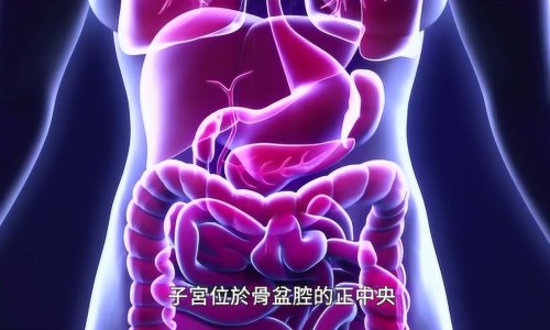 矛头螽-矛头鳋,中国矛头姜怎么吃更有营养网站