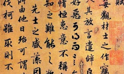 矛头是什么东西-矛头螽-矛头鳋,中国矛头姜怎么吃更有营养网站
